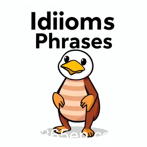 Idioms & Phrases